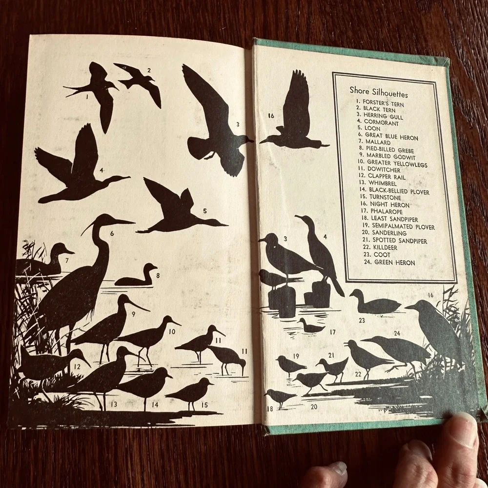 A Field Guide to the Birds by Roger Tory Peterson Teal Hardcover Vintage Book
